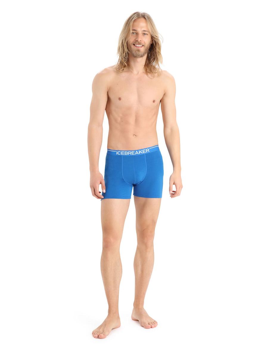 Lazurite Icebreaker Merino Anatomica Boxers Men's Underwear | AU 1311TCEV